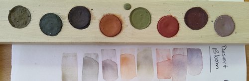 Desert Bloom Watercolor Palette